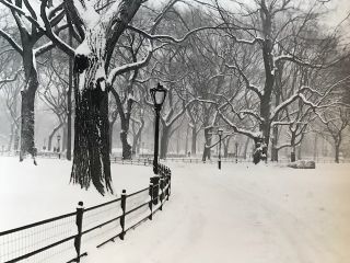 A Group Of People In A Park Covered In Snow